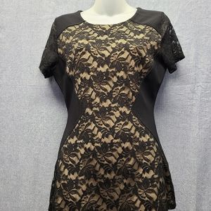 Boston Proper SS Lace Panel A-Line Top With Lace Capped Sleeve,Lined Size 4 NWT